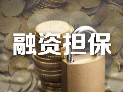 云南省103家融資擔保機構不具備業務經營資格