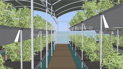 新型溫室大棚魚菜共生 工廠化循環(huán)農(nóng)業(yè)的未來圖景