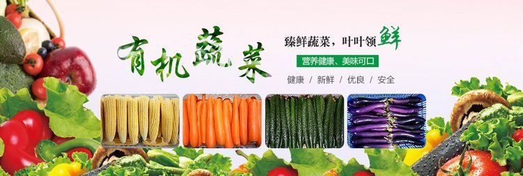 厚街蔬菜批發(fā) 從自有基地到大型配送中心的全產(chǎn)業(yè)鏈?zhǔn)巢姆?wù)